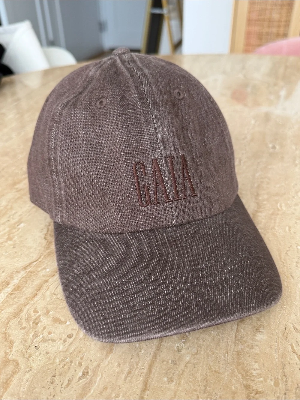 Limited Edition Gap x Cult Gaia |  Embroidered Brown Baseball Cap